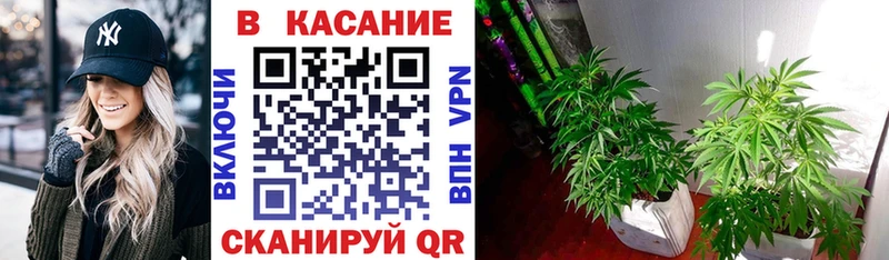 Купить закладку Бошки Шишки  Амфетамин  КОКАИН  Гашиш  МЕФ  СОЛЬ  Кимовск