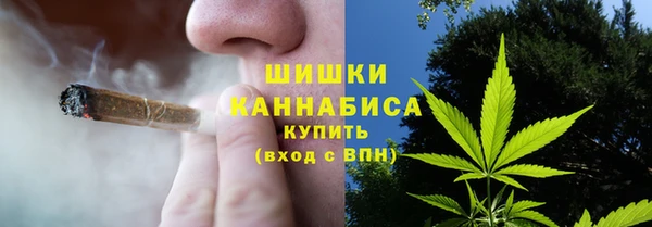 МДМА Заводоуковск