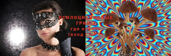 МДМА Заводоуковск